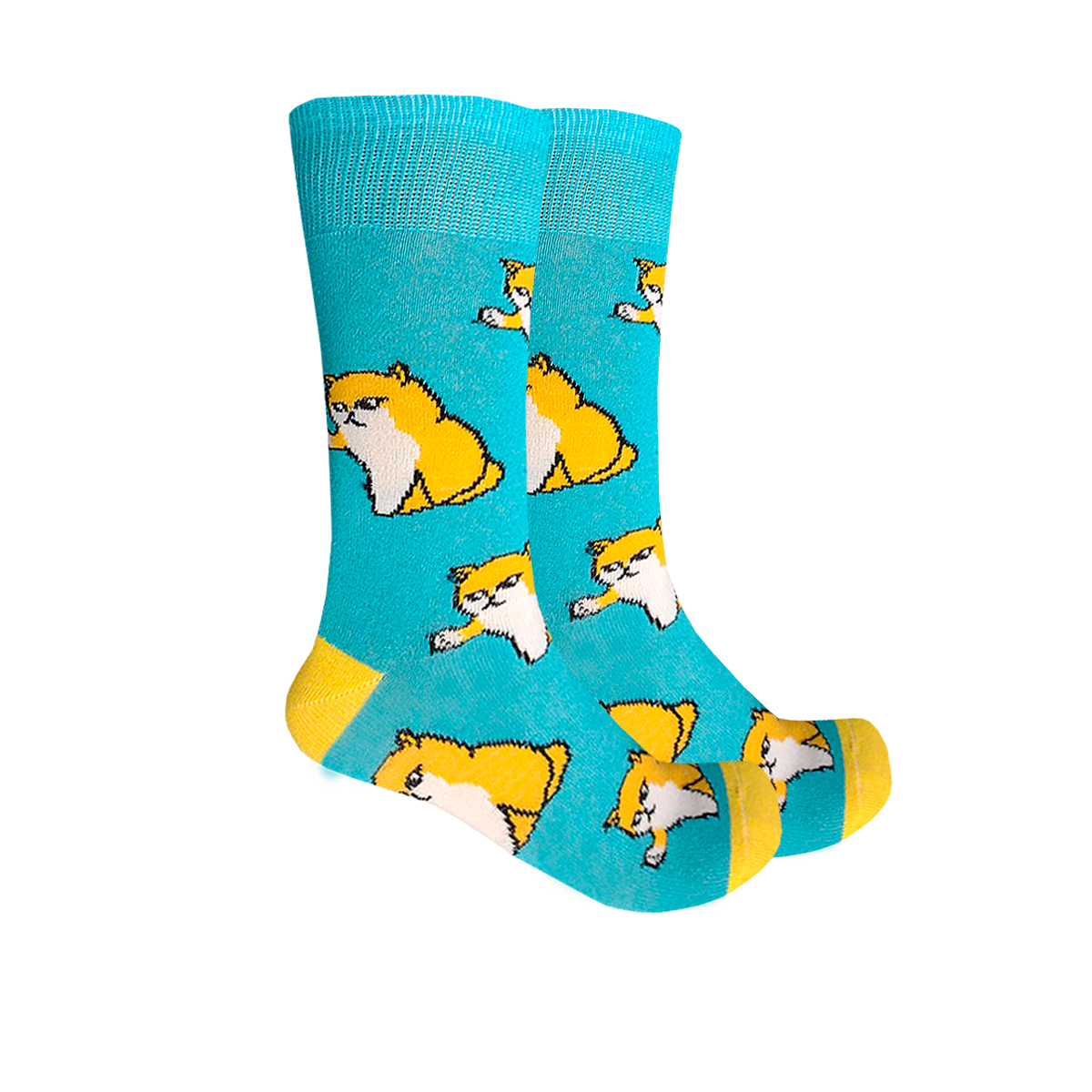 Calcetines Divertidos "Gatitos Groseros"