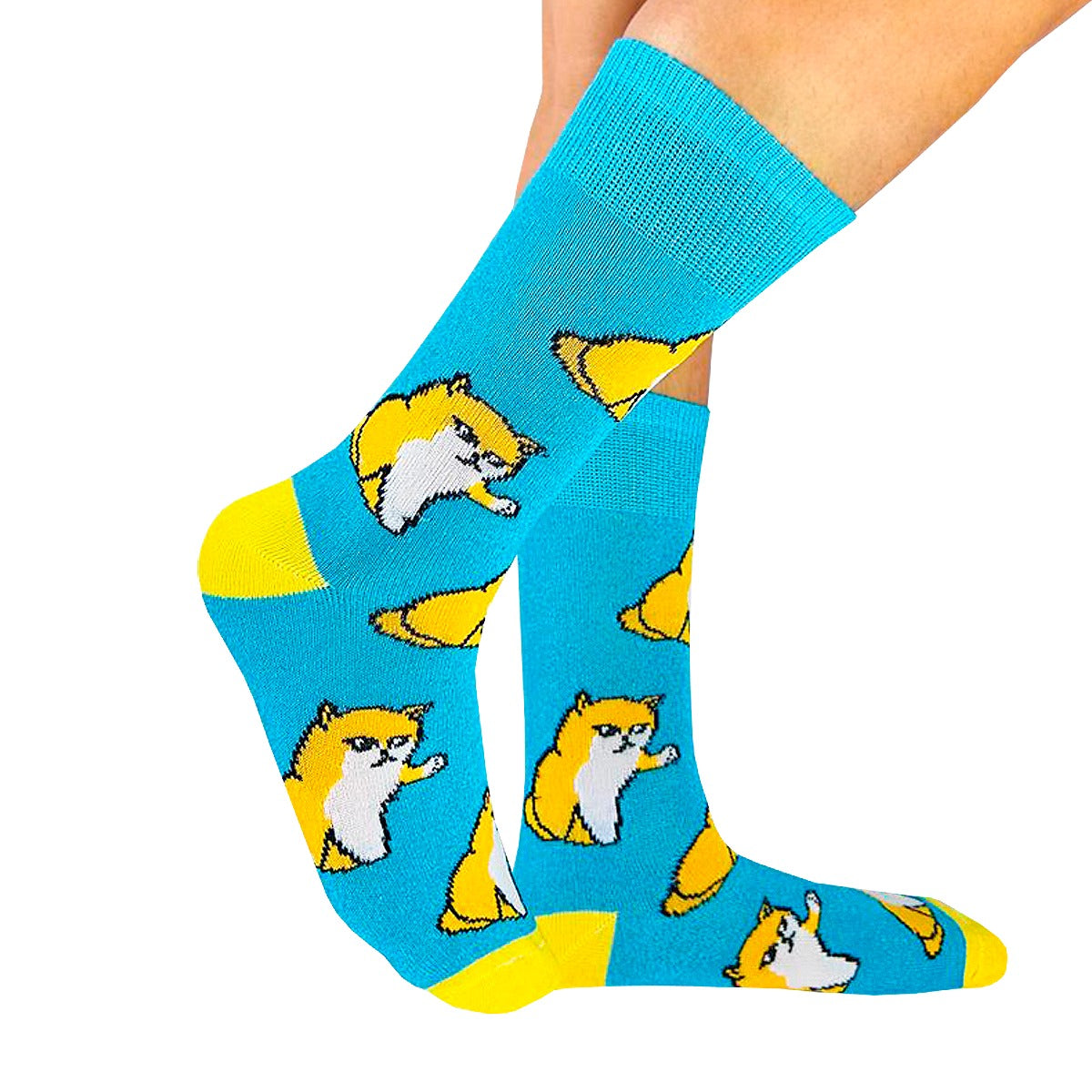Calcetines Divertidos "Gatitos Groseros"
