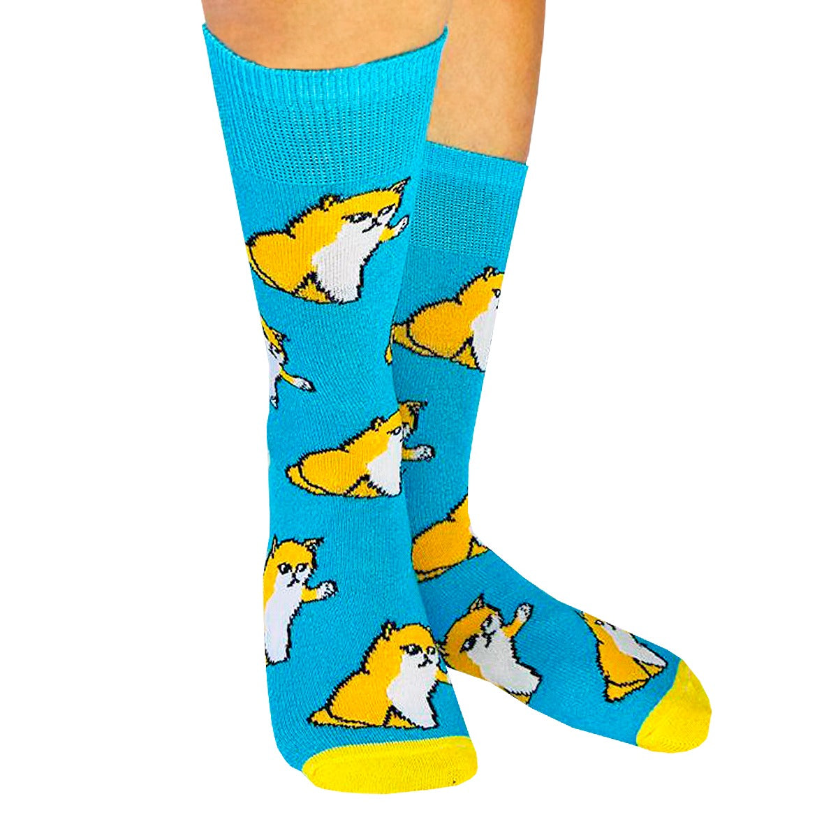 Calcetines Divertidos "Gatitos Groseros"
