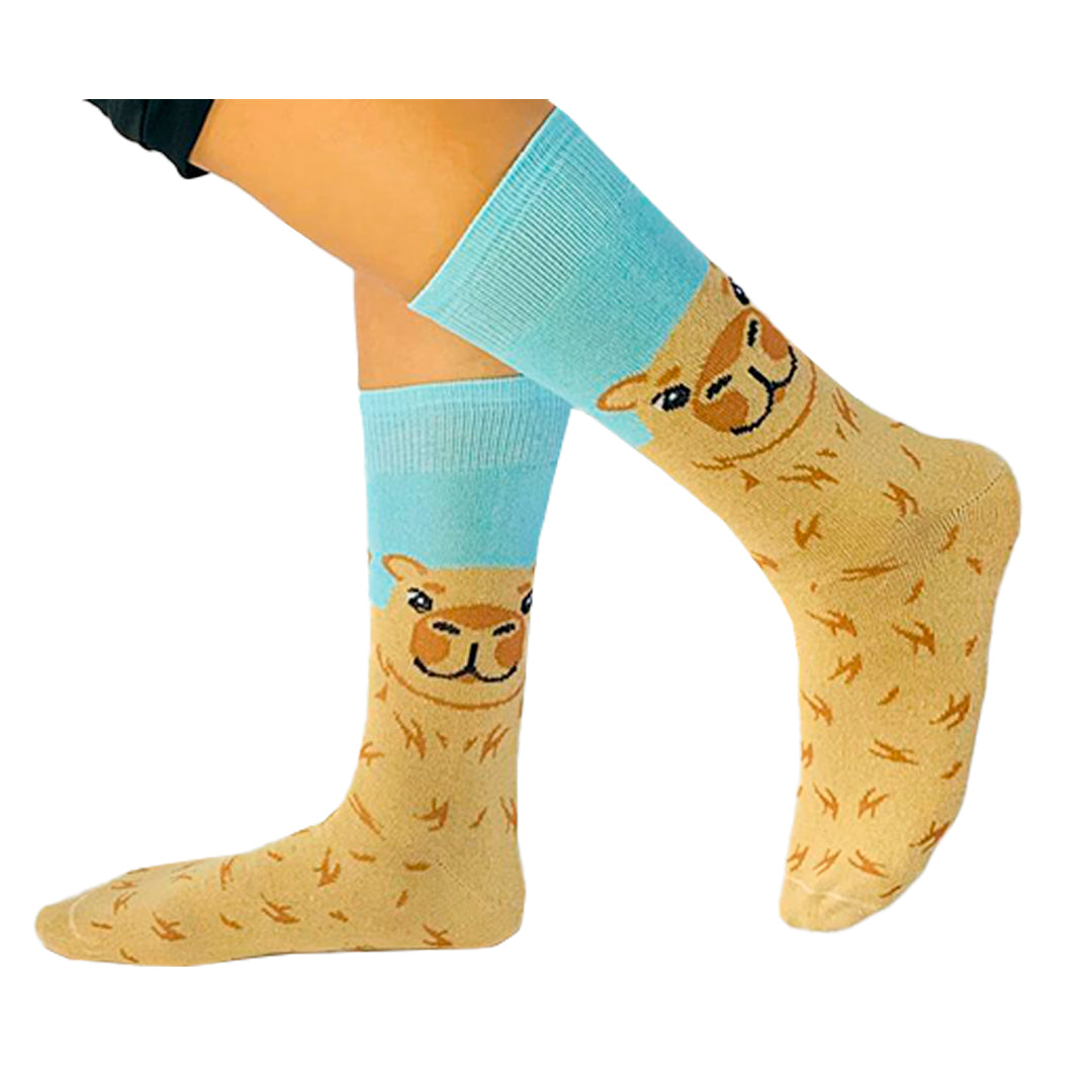 Calcetines Divertidos "Capibara"