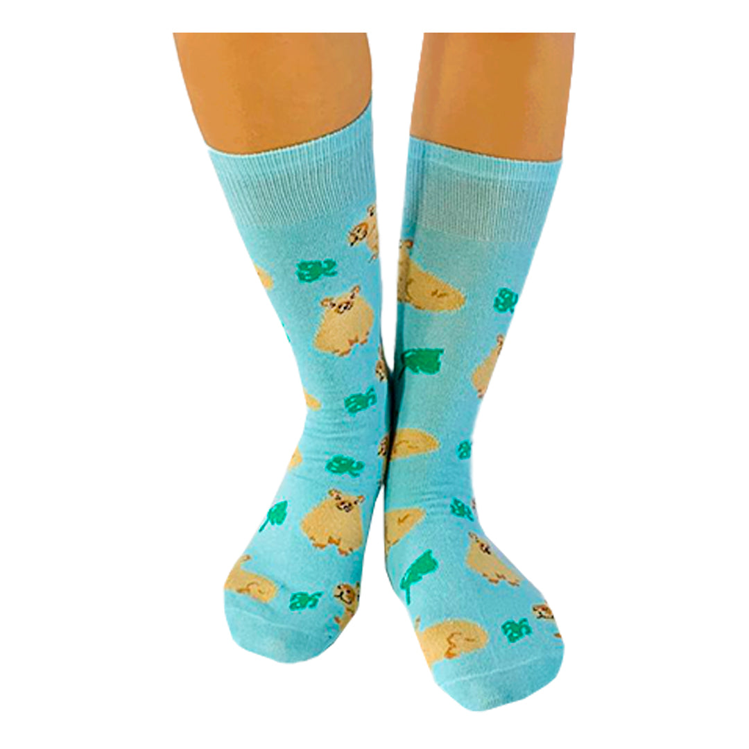 Calcetines Divertidos "Capibaras Con Hojas"